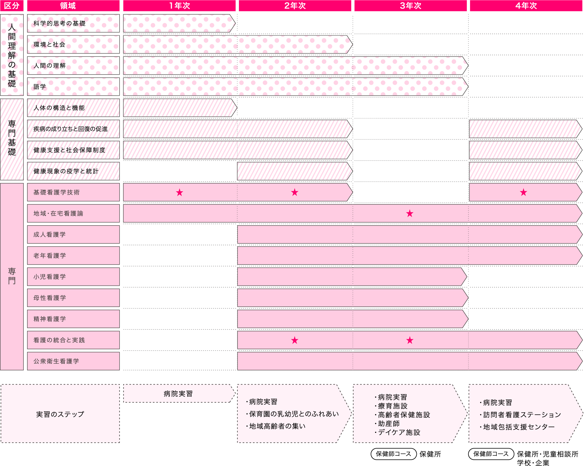 学ぶ区分、領域、年次についての図表